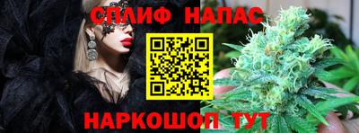винт Будённовск